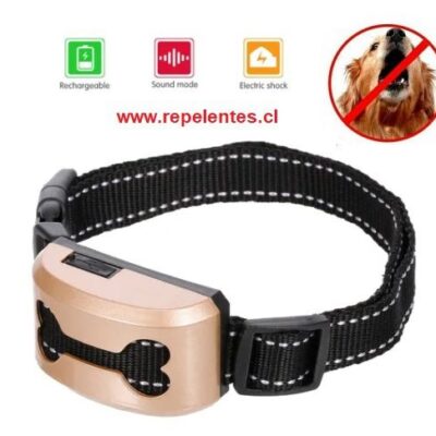 COLLAR.jpg